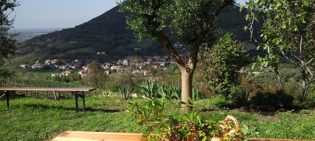 To Venice by train and the autumn colors of the Euganean Hills