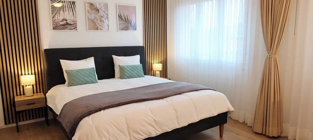 Top duplex Apartment Zurich-Limmattal