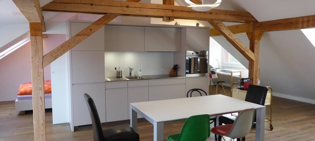 Top modern 2-bedroom penthouse apartment in Bern - Beautiful flat roof in Berne City