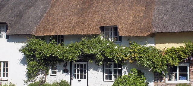 Tranquillity Cottage