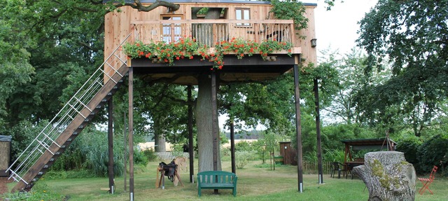 Tree house in 200-year-old oak - share with all the other tree dwellers KEINEHUNDE