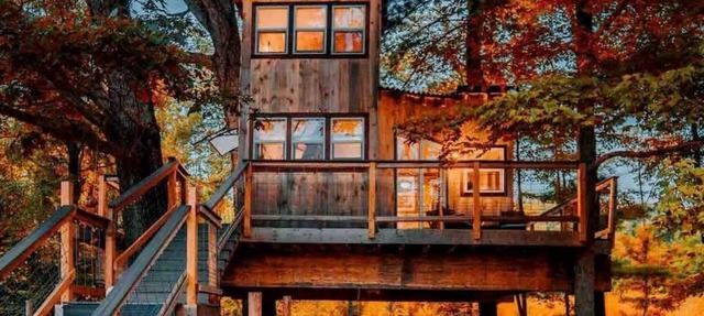 Treehouse - Countryside - Farm Animals - Fire Pit