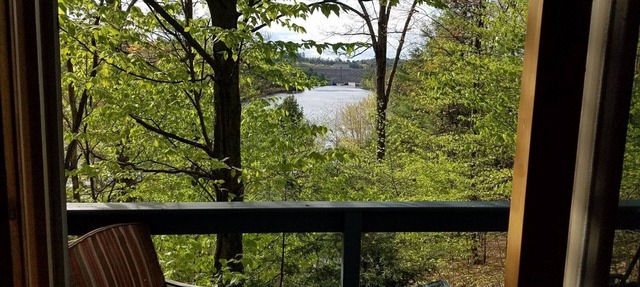 Treehouse type cottage in private location - Pet friendly!