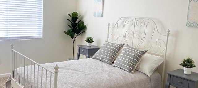 Trifecta Home-