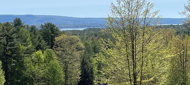 True Adirondack Retreat! Nestled in the Mountains!