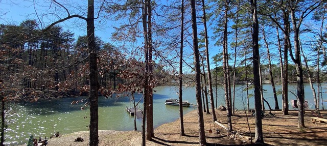 Uncork, Unwind, Relax @ this family & pet friendly Lake home #2