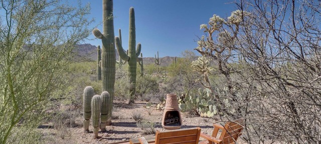 Unwind Poolside, Scenic Sonoran Desert Retreat!