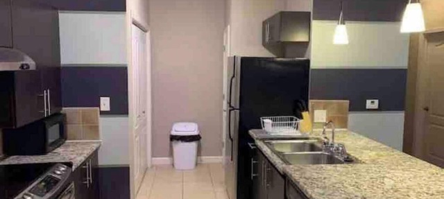 Upscale apt. in Central downtown location