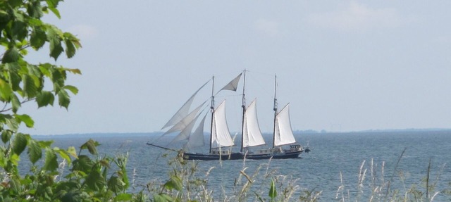 Vacation apartment/apartment for 4 guests with 50m² in Fehmarn OT Marienleuchte (60035)