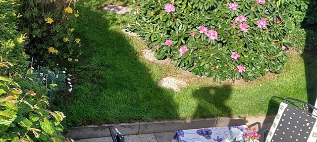 Vacation apartment Lüneburg Heath/Allertal - terrace/garden, heath park, bird park