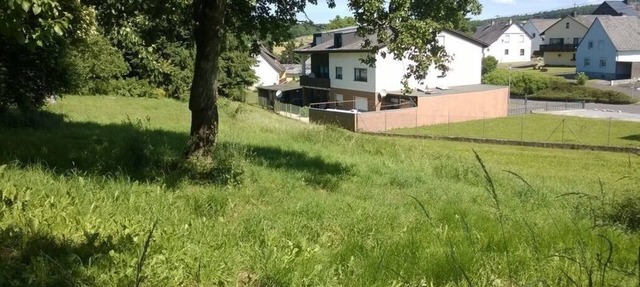 Vacation apartment/apartment for 5 guests with 130m² in Morbach (93242)