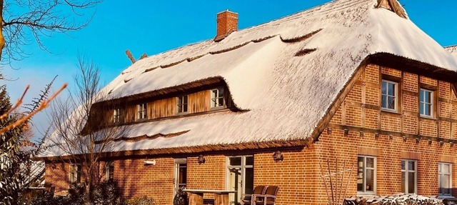 Vacation apartment/apartment for 4 guests with 80m² in Remplin (309706)
