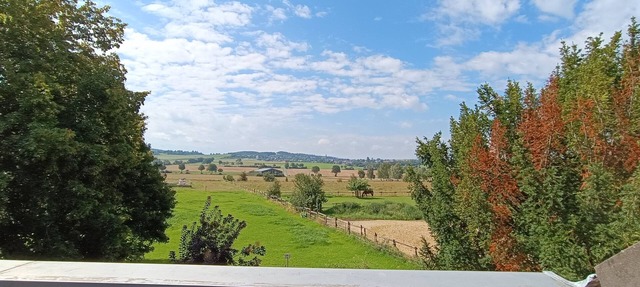 Vacation apartment for 6 (7) persons Eifel