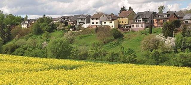 Vacation apartment Roter Kater - 4-bed vacation apartment with shower/WC and sauna