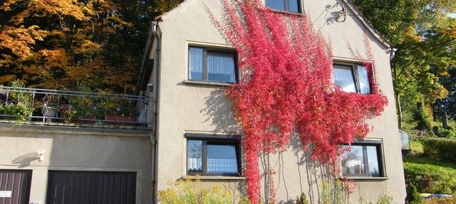 Vacation home for 4 guests with 100m² in Ebersbach-Neugersdorf (111153)