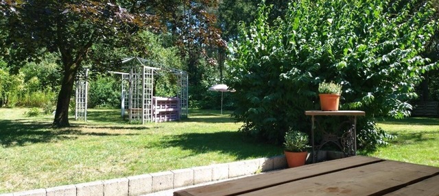 Vacation home for 4 guests with 80m² in Dedelstorf (268877)