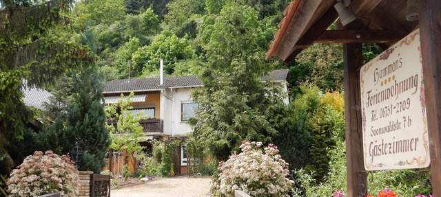 Vacation Home in Monzingen