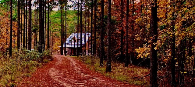 VALKYRIE Secluded Romantic River Cabin River and Mountain Views Log/Stone Cabin