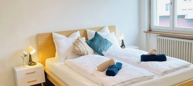 Vantage Point spacious 3 bedroom apartment | Olten Switzerland| railway station