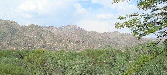 Ventana Golf and Catalina Mountain views highlight this Superior 2 bedroom