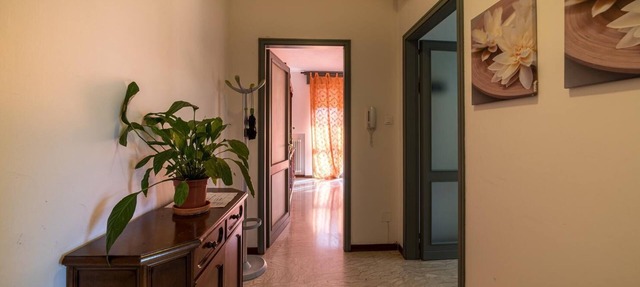 Very nice Apt Padua Centre