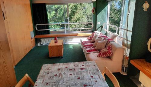 Vetrate sul bosco