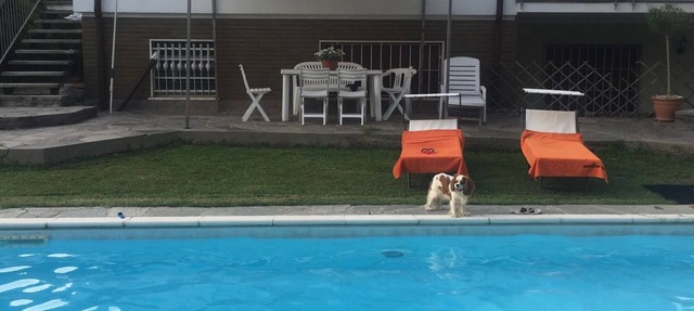 Villa Baggio sport and fly