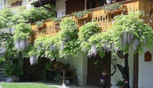Villa Bianca