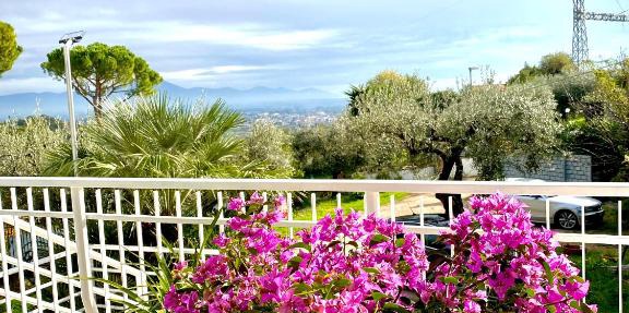 Villa Elisa