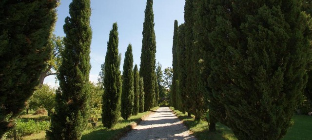 Villa Ghislanzoni