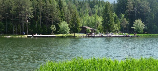 Villa Grünewald