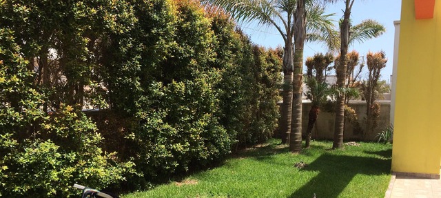 Villa Jolanda 2 steps from the BEACH