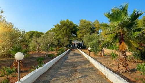 Villa nel Salento con piscina e ulivi