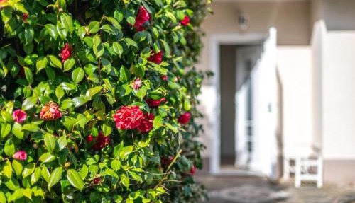 Villa Sofia casa con giardino e spiaggia condivisa