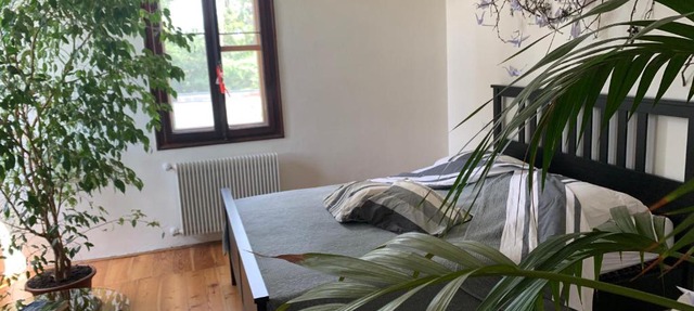 Villa Sofie