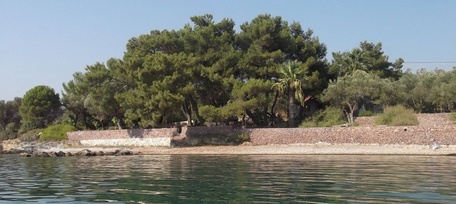 Villa surrounded by 8000 m2 olive groove, under pine trees, on waterfront