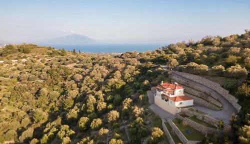 Villa Vicky