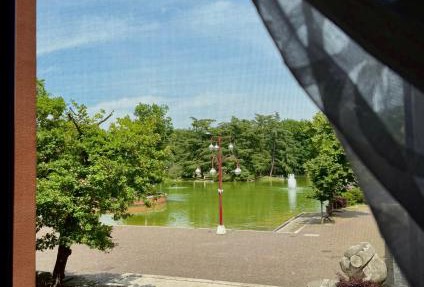 Vista Lago
