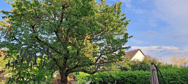 Vrbo Property