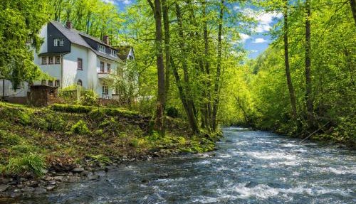 Wald Villa Üssbach