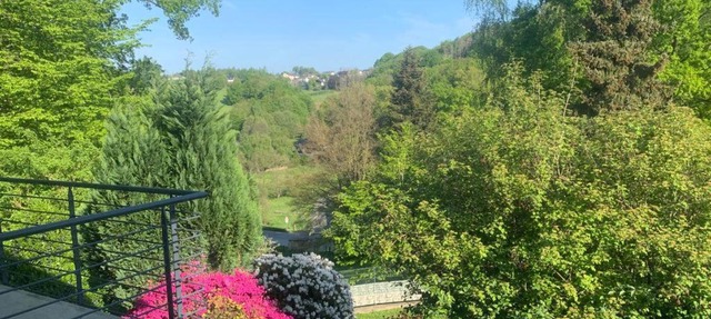 Waldhaus im Bergischen