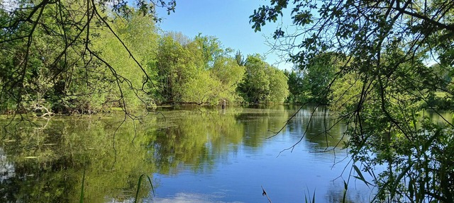 Waterfront 3-bedroom w Firepit, Game Room, ~1 mile to Foxwoods, Great Wolf Lodge