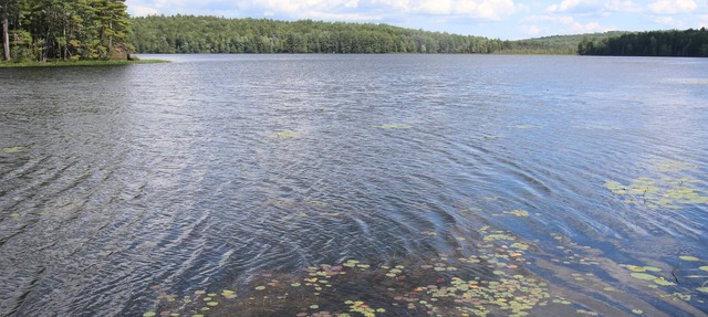 Waterfront Cottage on Scenic Sportsman Pond