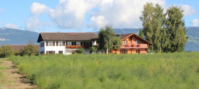 Weierhof by Interhome