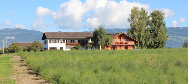 Weierhof
