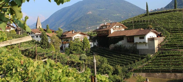 Weingut Eberlehof