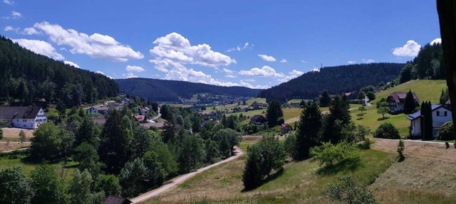Welcome to Tonbachtal-Baiersbronn - Apartment for up to 8 people & pets