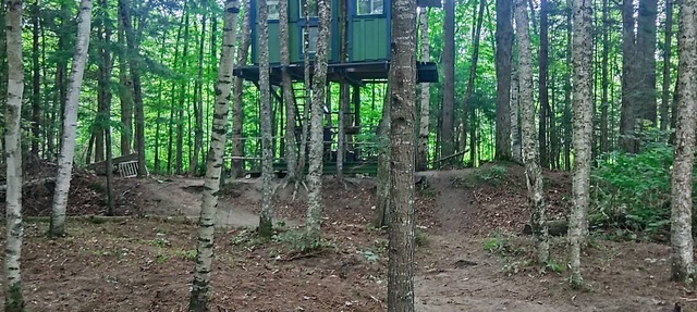 White Mountain riverside Treehouse