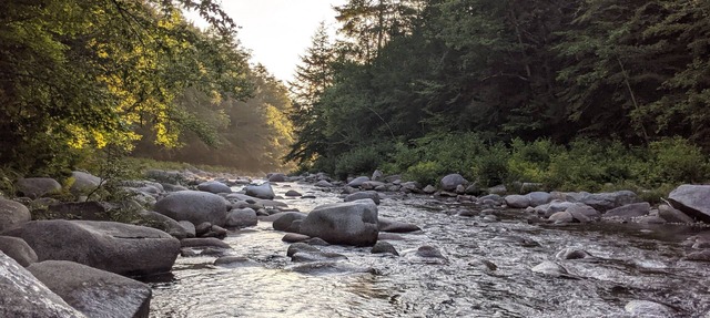 White Mountain scenic river camp with cozy cabin & comfy RV