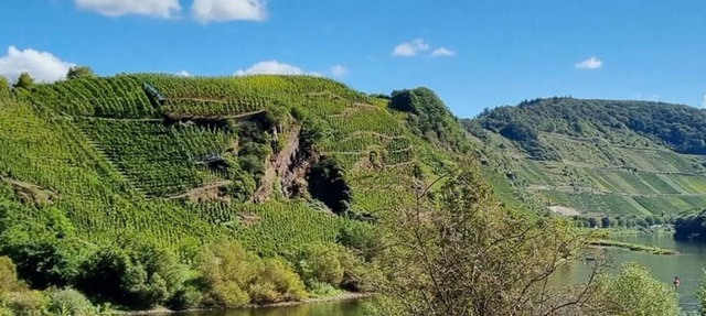 Wohnung 3: Historisches Mosel-refugium - Altes Winzerhaus am Calmont
